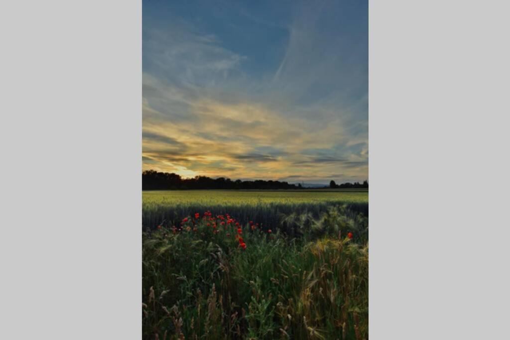 Igricz Farmhaz Villa Pocsmegyer Bagian luar foto