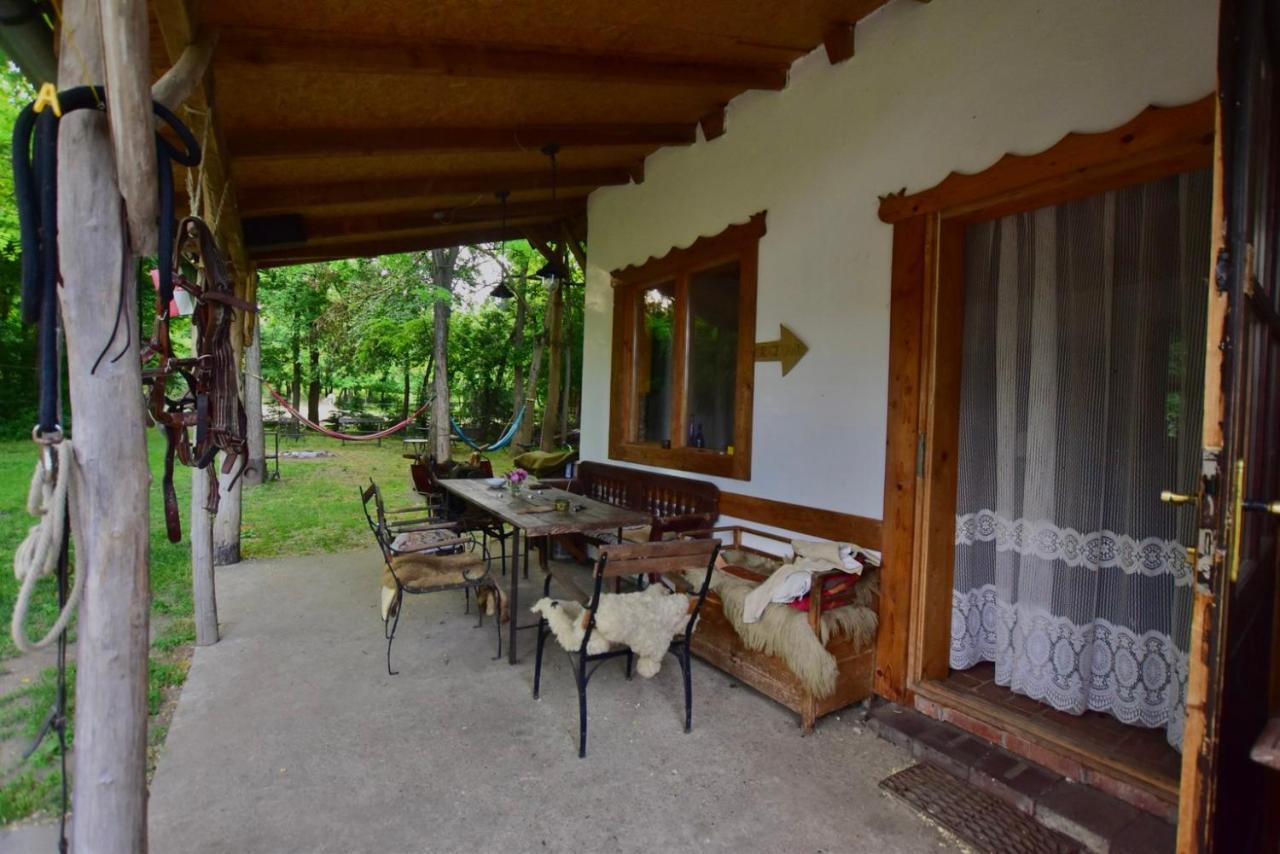 Igricz Farmhaz Villa Pocsmegyer Bagian luar foto