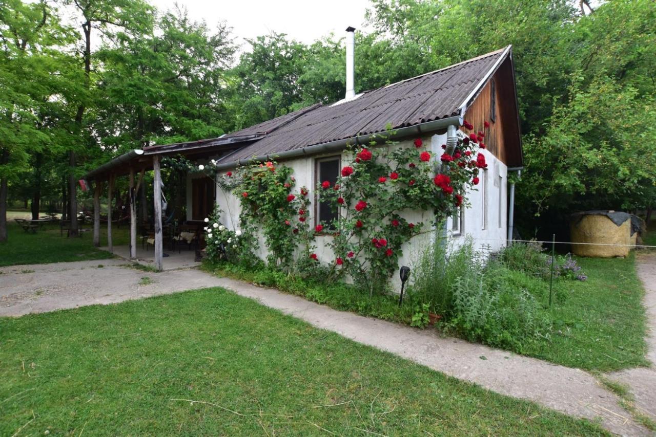 Igricz Farmhaz Villa Pocsmegyer Bagian luar foto