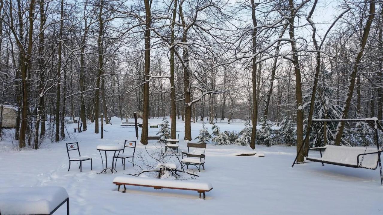 Igricz Farmhaz Villa Pocsmegyer Bagian luar foto